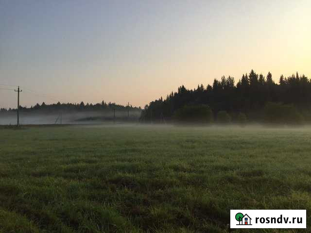 Участок СНТ, ДНП 320 сот. на продажу в Култаево Култаево - изображение 1