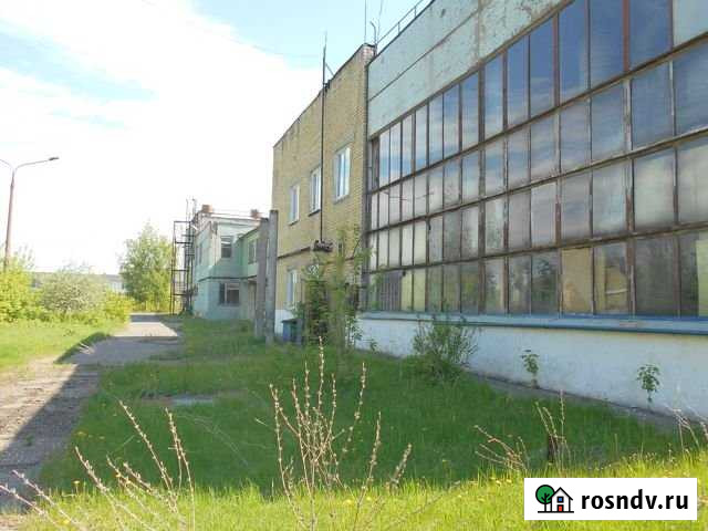 Помещение свободного назначения, 6395 кв.м. Бор - изображение 1