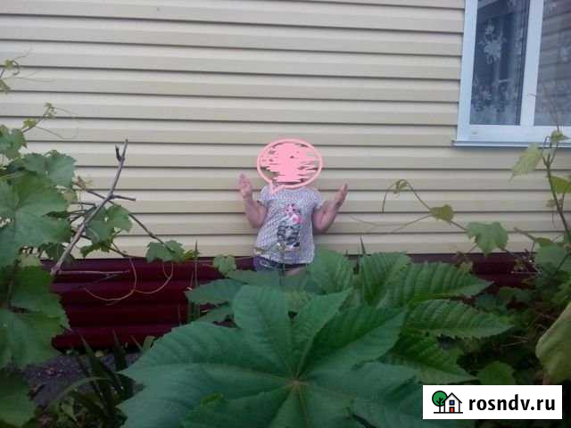 Дом 90 м² на участке 12 сот. на продажу в Шипуново Шипуново - изображение 1