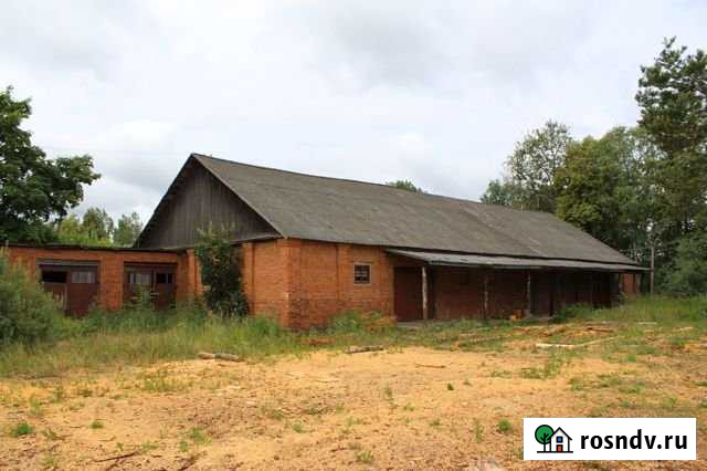 Участок промназначения 2000 сот. на продажу в Велиже Велиж - изображение 1