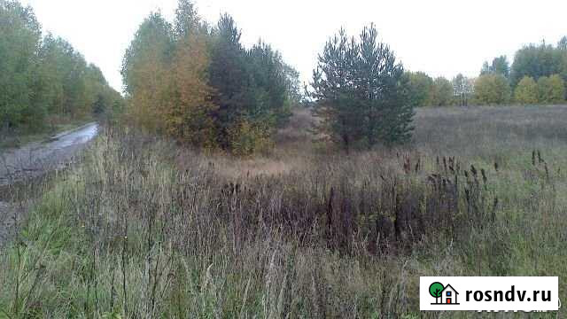 Участок СНТ, ДНП 40 сот. на продажу в Красных Баках Красные Баки - изображение 1