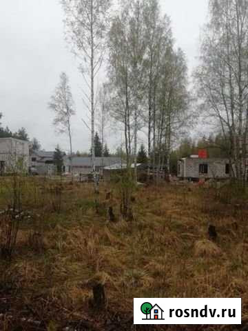 Участок СНТ, ДНП 7 сот. на продажу во Всеволожске Всеволожск - изображение 1