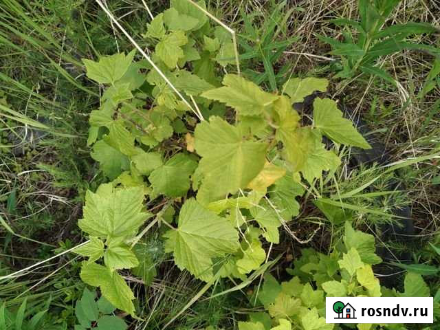 Дача 120 м² на участке 24 сот. на продажу в Магадане Магадан - изображение 1