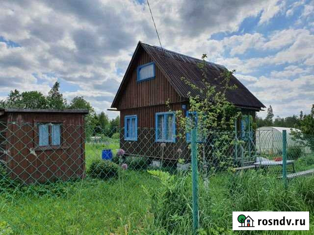 Дача 35 м² на участке 12 сот. на продажу в Кингисеппе Кингисепп - изображение 1