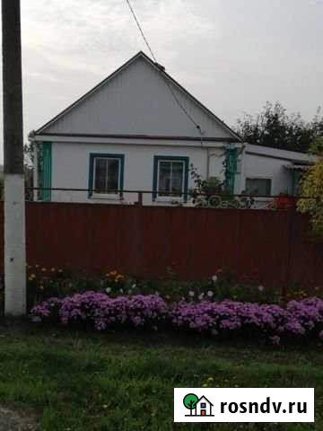 Дом 47 м² на участке 34 сот. на продажу в Александровской Александровская - изображение 1