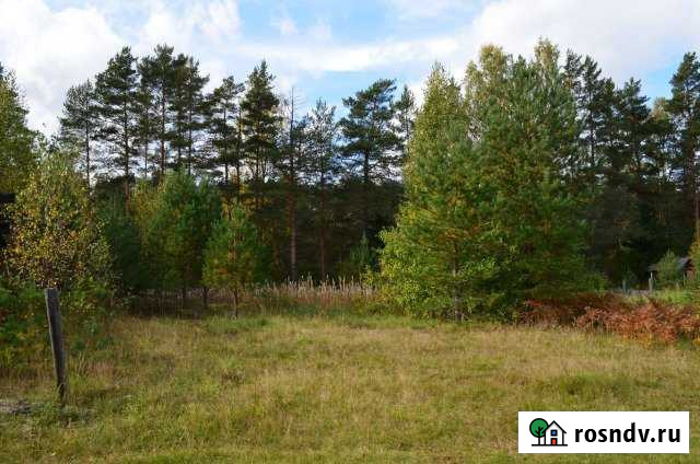 Участок ИЖС 6 сот. на продажу в Бабаево Бабаево - изображение 1