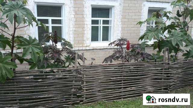 Дом 52.1 м² на участке 27 сот. на продажу в Хлевном Хлевное - изображение 1