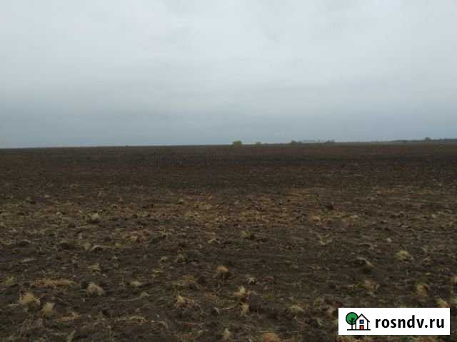 Участок СНТ, ДНП 1620 сот. на продажу в Чернышковском Чернышковский - изображение 1