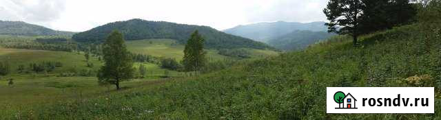 Участок СНТ, ДНП 1400 сот. на продажу в Новосибирске Новосибирск - изображение 1