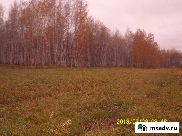 Участок СНТ, ДНП 800 сот. на продажу в Миасском Миасское - изображение 1