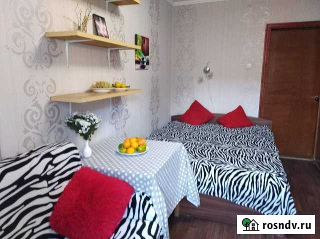 1-комнатная квартира, 25 м², 4/9 эт. в аренду посуточно в Ростове-на-Дону Ростов-на-Дону - изображение 1