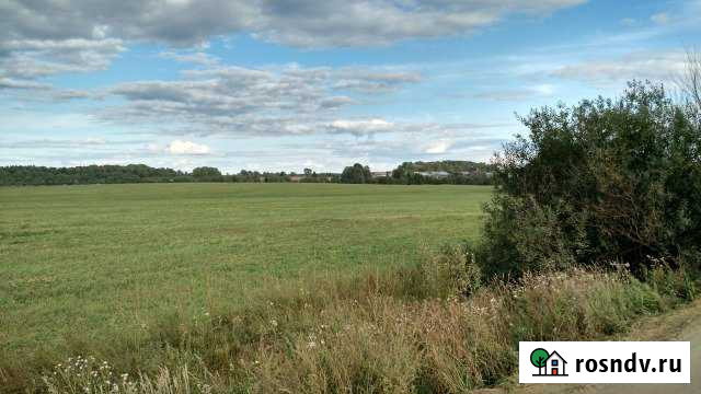 Участок СНТ, ДНП 770 сот. на продажу в Оричах Оричи - изображение 1