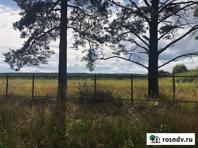 Участок СНТ, ДНП 20 сот. на продажу в Красной Долине Красная Долина - изображение 1