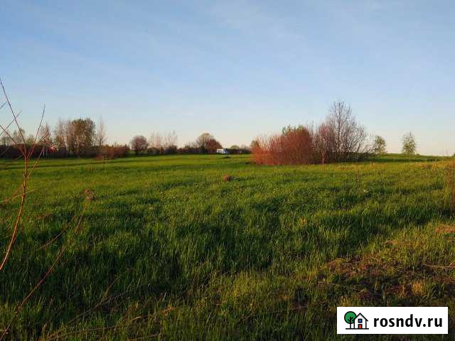 Участок ИЖС 15 сот. на продажу в Новосокольниках Новосокольники - изображение 1