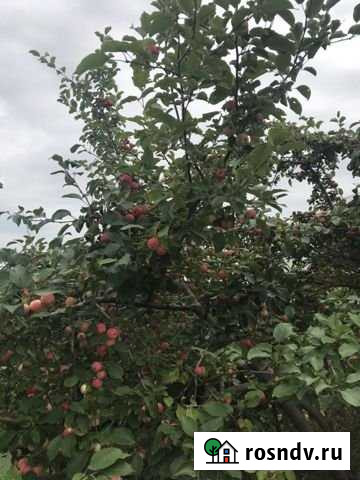 Участок СНТ, ДНП 6 сот. на продажу в Красноярске Красноярск - изображение 1