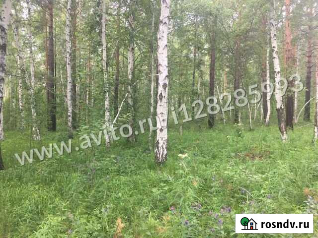 Участок СНТ, ДНП 20 сот. на продажу в Иркутске Иркутск - изображение 1