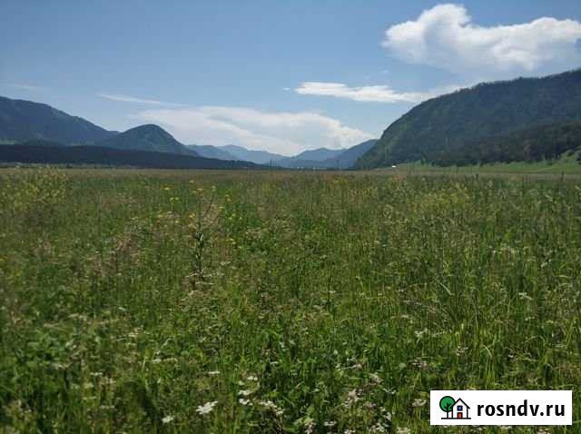 Участок СНТ, ДНП 15 сот. на продажу в Горно-Алтайске Горно-Алтайск - изображение 1