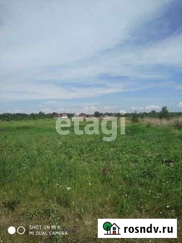 Участок СНТ, ДНП 500 сот. на продажу в Сосновоборске Красноярского края Сосновоборск - изображение 1