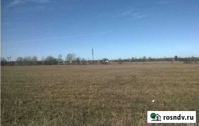 Участок СНТ, ДНП 520 сот. на продажу в Балакирево Балакирево - изображение 1