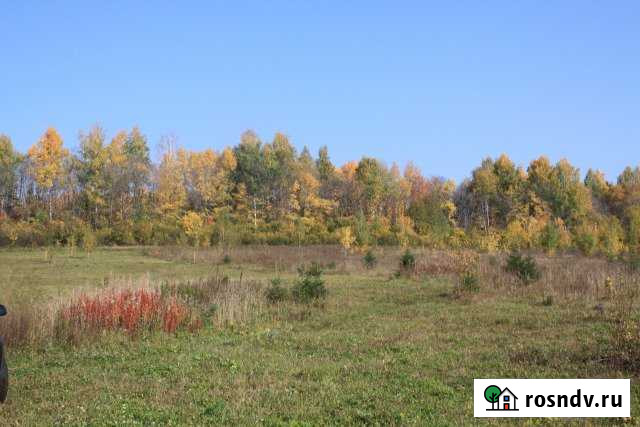 Участок СНТ, ДНП 23 сот. на продажу в Перми Пермь - изображение 1