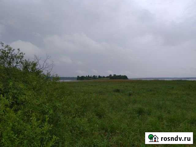 Участок ИЖС 48 сот. на продажу в Демянске Демянск - изображение 1