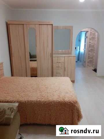 1-комнатная квартира, 36 м², 1/2 эт. в аренду посуточно в Кузнецке Кузнецк - изображение 1