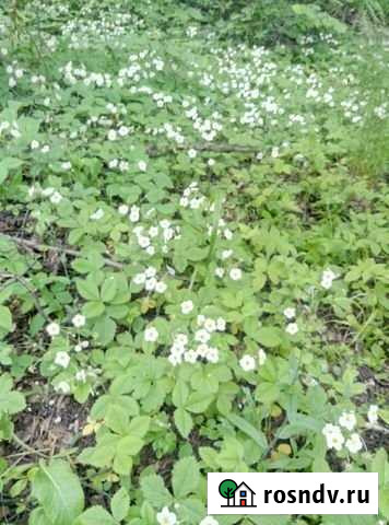 Участок ИЖС 12 сот. на продажу в Бронницах Бронницы - изображение 1