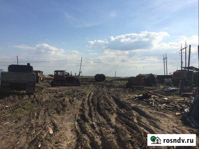 Участок промназначения 80 сот. в аренду в Красном Селе Красное Село - изображение 1