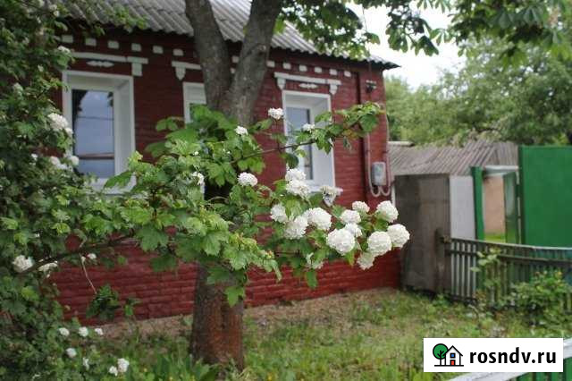 Дом 41.7 м² на участке 40 сот. на продажу в Томаровке Томаровка - изображение 1