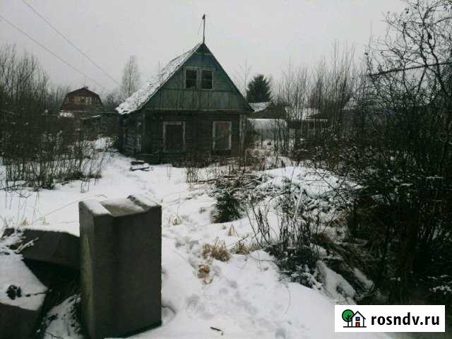 Участок СНТ, ДНП 6 сот. на продажу в Толмачево Ленинградской области Толмачево - изображение 1