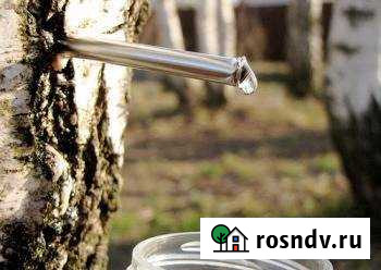 Участок СНТ, ДНП 10 сот. на продажу в Маркове Маркова - изображение 1