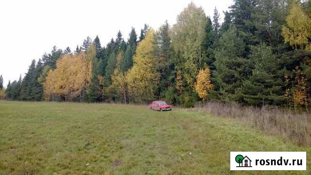 Участок ИЖС 30 сот. на продажу в Оричах Оричи - изображение 1