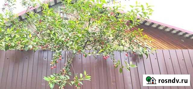 Дом 78 м² на участке 6 сот. на продажу в Хабаровске Хабаровск - изображение 1