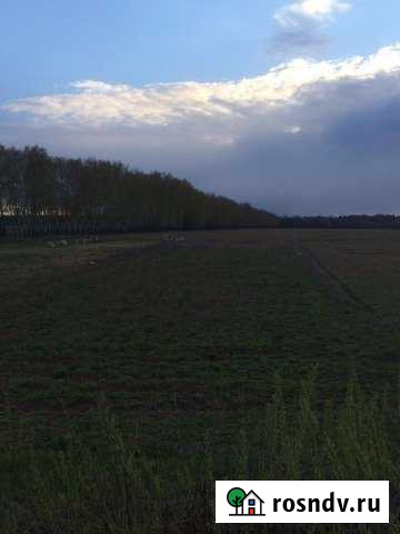 Участок ИЖС 20 сот. на продажу в Арске Арск - изображение 1