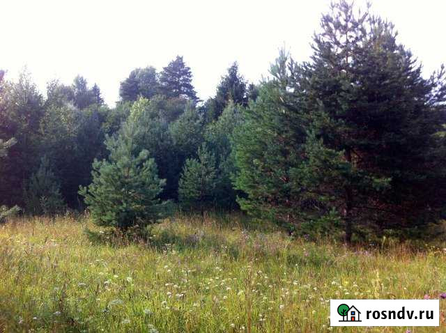 Участок ИЖС 10 сот. на продажу в Демянске Демянск - изображение 1