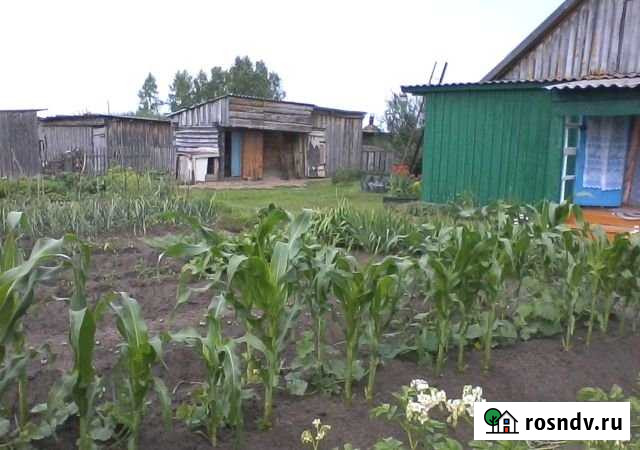 Дом 39 м² на участке 7 сот. на продажу в Косихе Косиха - изображение 1