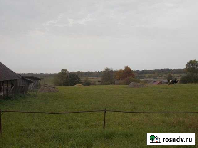 Участок ИЖС 42 сот. на продажу в Пушкинских Горах Пушкинские Горы - изображение 1