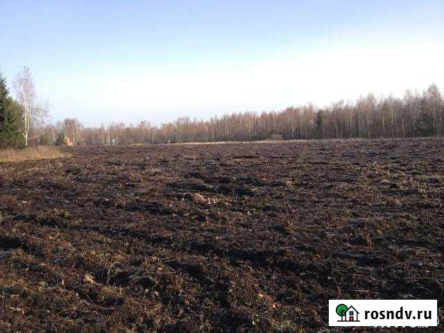 Участок СНТ, ДНП 750 сот. на продажу в Муромцево Владимирской области Муромцево - изображение 1