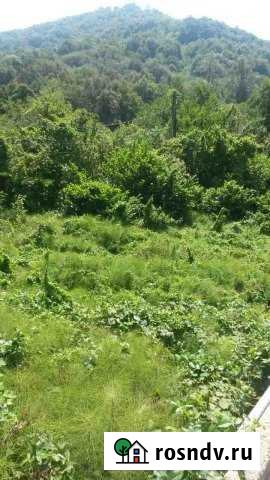 Участок СНТ, ДНП 8 сот. на продажу в Сочи Сочи - изображение 1