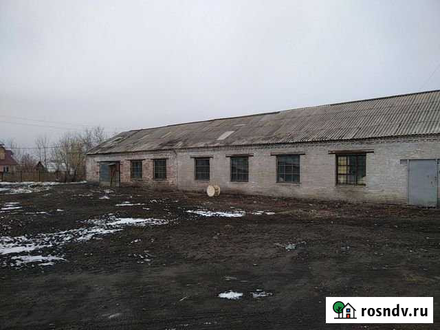 Складское или производственное помещение Мошково - изображение 1