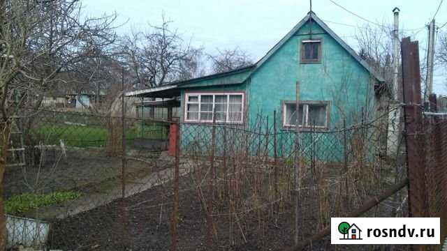 Дача 20 м² на участке 10 сот. на продажу в Калининграде Калининград - изображение 1