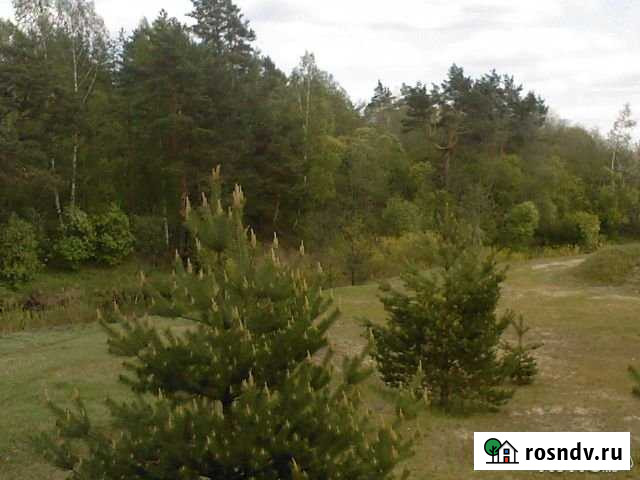 Участок СНТ, ДНП 1400 сот. на продажу в Переславле-Залесском Переславль-Залесский - изображение 1