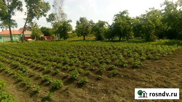 Участок ИЖС 37 сот. на продажу в Староюрьево Староюрьево - изображение 1