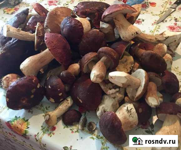 Дом 45.5 м² на участке 11 сот. на продажу в Кадые Кадый - изображение 1