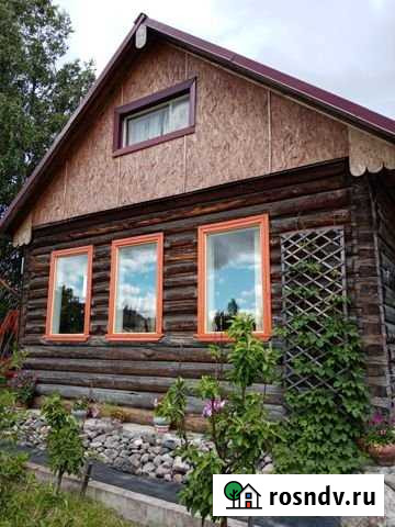 Дом 40 м² на участке 15 сот. в аренду посуточно в Чупе Чупа - изображение 1