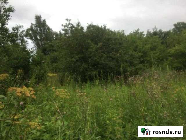 Дом 39 м² на участке 30 сот. на продажу в Лесном Рязанской области Лесной - изображение 1