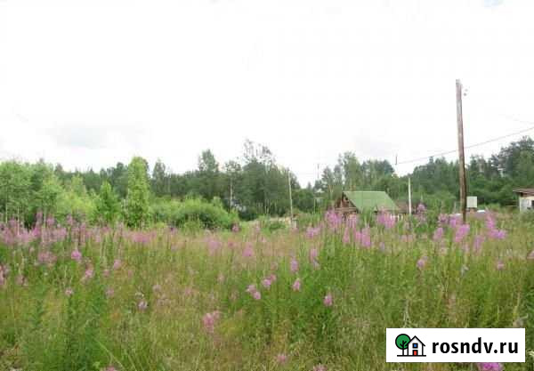 Участок ИЖС 8 сот. на продажу в Первомайском Ленинградской области Первомайское - изображение 1