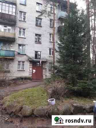 2-комнатная квартира, 42.6 м², 2/5 эт. на продажу в Песочном Песочное