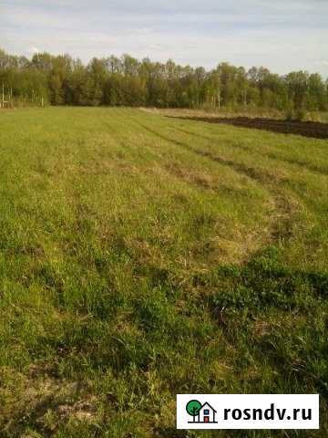 Участок ИЖС 20 сот. на продажу в Буревестнике Буревестник - изображение 1