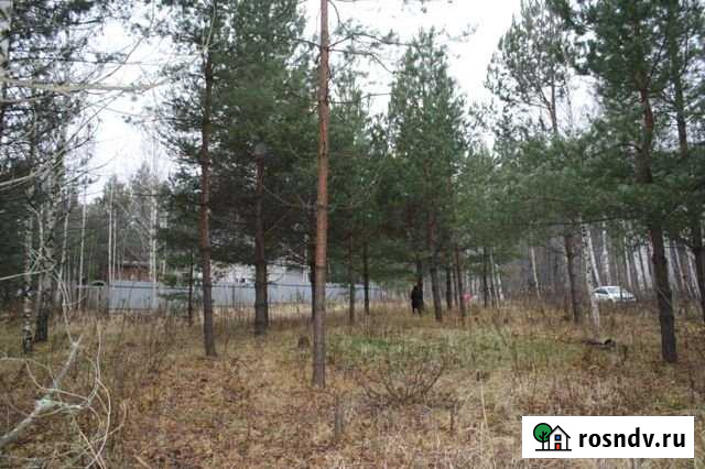 Участок СНТ, ДНП 13 сот. на продажу в Пестрецах Пестрецы - изображение 1